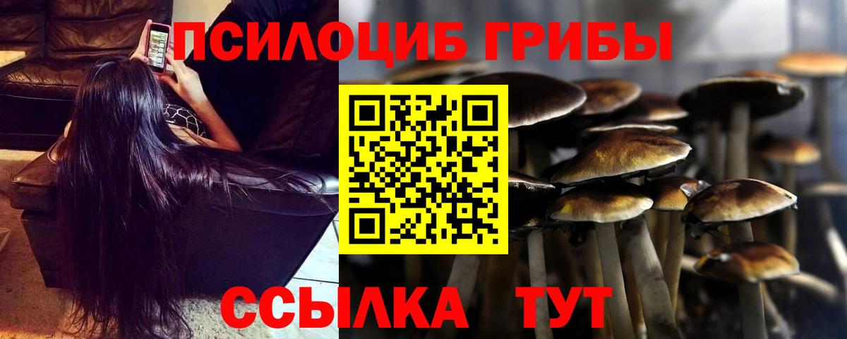 Орехово-Зуево  как найти наркотики  Вход с VPN  Галлюциногенные грибы GOLDEN TEACHER 